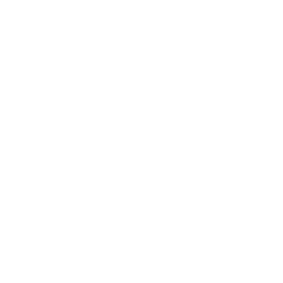 Endsight Logo